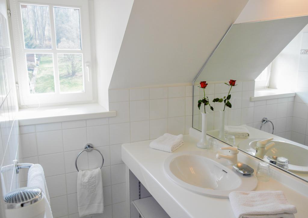 Maison d'Hôtes l'Escale Bains-les-Bains Extérieur photo